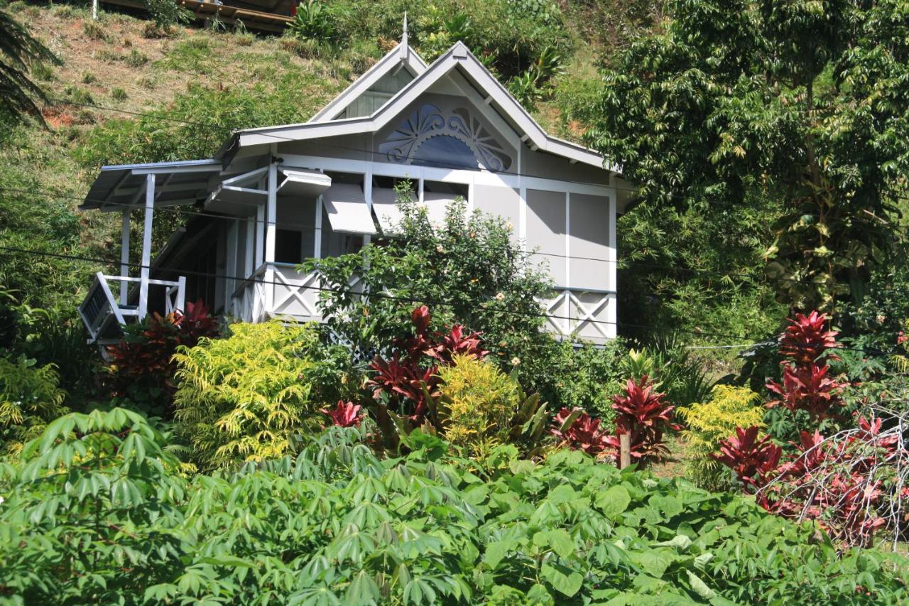 Gingerbread Cottage And Studio Fiji Savusavu Exterior foto